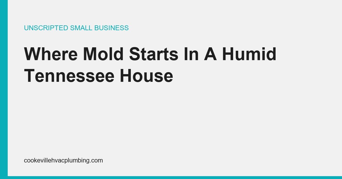 A cutaway showing moisture accumulating in a crawlspace and behind a bathroom vanity in a humid climate.